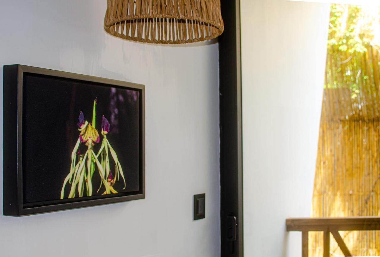 Ximena Hotel Boutique Sayulita Extérieur photo